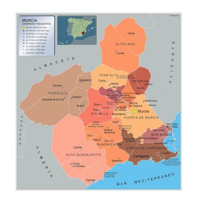 Mapa Murcia por municipios plastificado