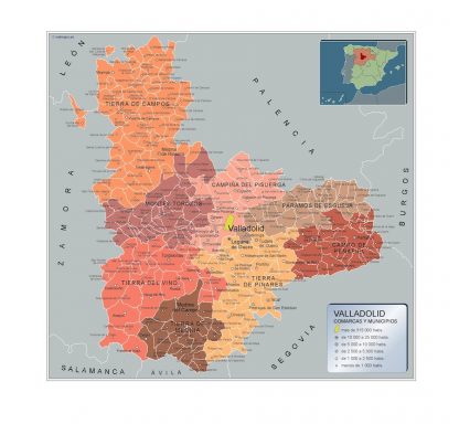 Mapa Valladolid por municipios plastificado