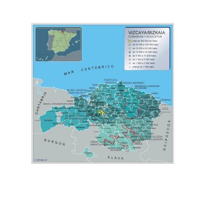 Mapa Vizcaya por municipios plastificado